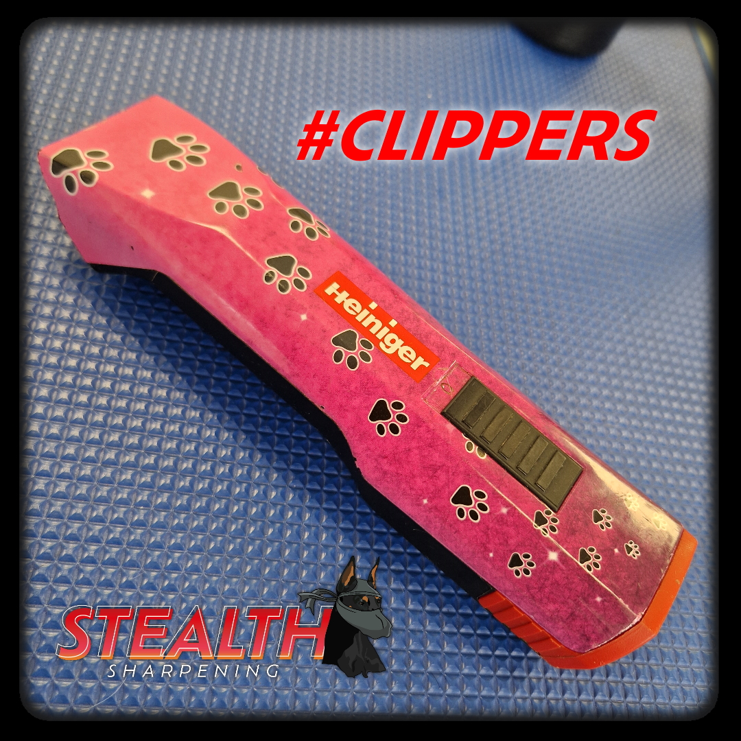 Saphire Clippers2 151022