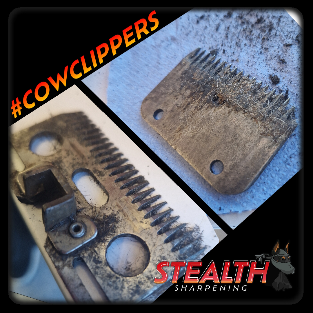 Cow Clippers 1080x1080