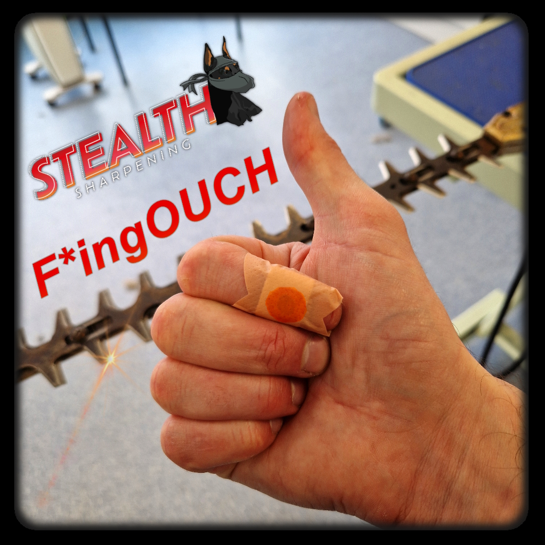 Hedge Trimmer Ouch